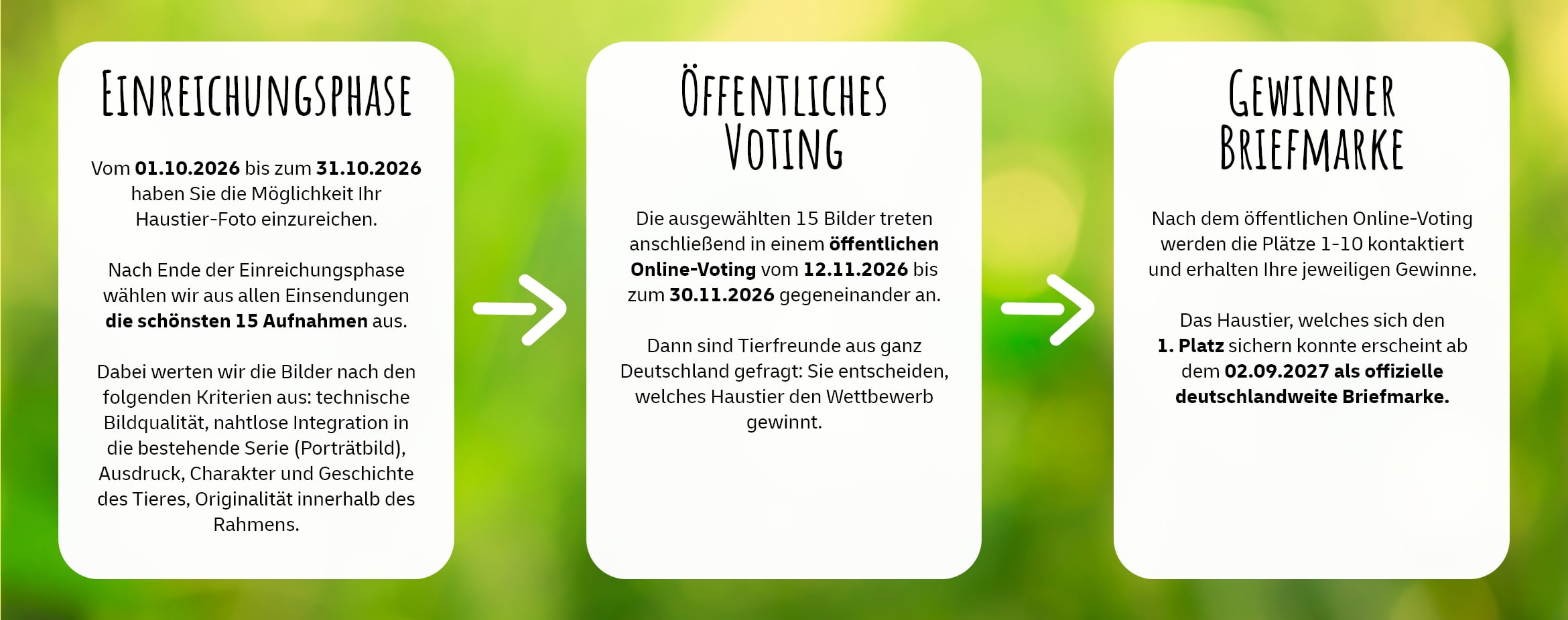 Grafik zum Ablauf des Wettbewerbs: 1.Einreichungsphase Vom 01.10.2026 bis zum 31.10.2026 haben Sie die Möglichkeit Ihr Haustier-Foto einzureichen. Nach Ende der Einreichungsphase wählen wir aus allen Einsendungen die schönsten 15 Aufnahmen aus. Dabei werten wir die Bilder nach den folgenden Kriterien aus: technische Bildqualität, nahtlose Integration in die bestehende Serie (Portraitbild), Ausdruck, Charakter und Geschichte des Tieres, Originalität innerhalb des Rahmens. 2.Öffentliches Voting Die ausgewählten 15 Bilder treten anschließend in einem öffentlichen Online-Voting vom 12.11.2026 bis zum 30.11.2026 gegeneinander an. Dann sind Tierfreunde aus ganz Deutschland gefragt: Sie entscheiden, welches Haustier den Wettbewerb gewinnt. 3.Gewinner Briefmarke Nach dem öffentlichen Online-Voting werden die Plätze 1-10 kontaktiert und erhalten Ihre jeweiligen Gewinne. Das Haustier, welches sich den 1. Platz sichern konnte erscheint ab dem 02.09.2027 als offizielle deutschlandweite Briefmarke.